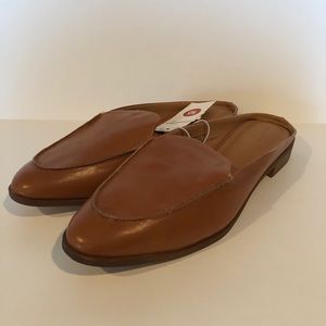 Women’s Dakota Backless Mule Congac in color